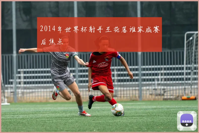 2014年世界杯射手王花落谁家成赛后焦点
