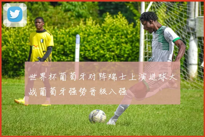 世界杯葡萄牙对阵瑞士上演进球大战葡萄牙强势晋级八强